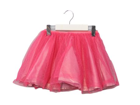 Seed Tulle Skirt 4T Online Sale