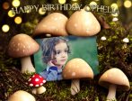 Fantasy Mushroom Forest Photo Frame Edible Cake Topper Image ABPID57749 For Discount