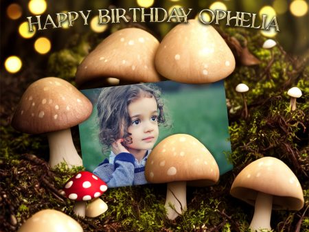 Fantasy Mushroom Forest Photo Frame Edible Cake Topper Image ABPID57749 For Discount